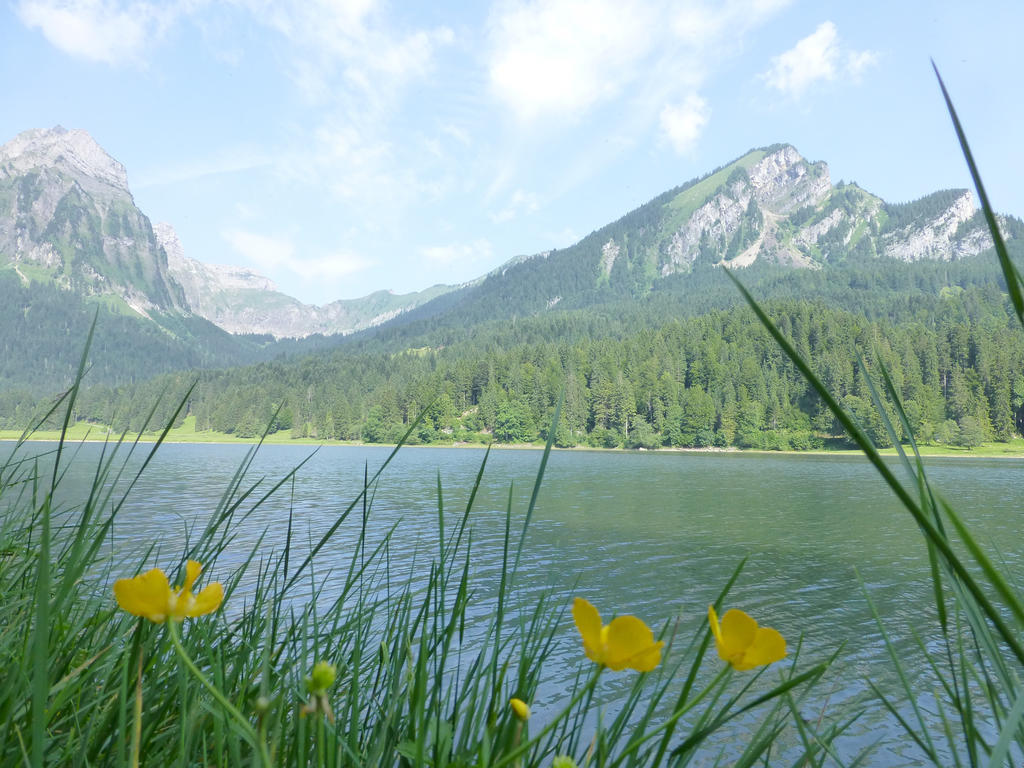 Berghotel Obersee Näfels Exterior foto